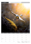 2024 Mornington Peninsula Calendar