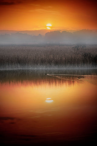 Wetlands Sunset