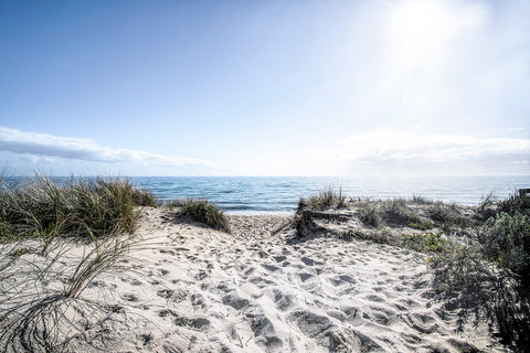 Seaford Beach Serenity