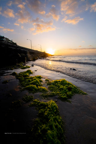Olivers Hill Shore Sunset