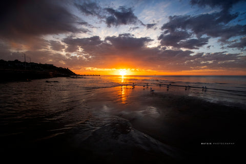 Olivers Hill Sunset B